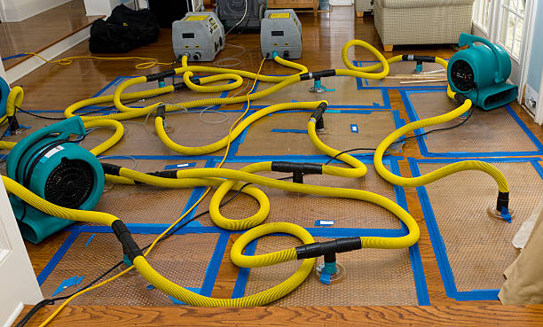 Professional Structural Drying And Dehumidification technician working in La Center, WA